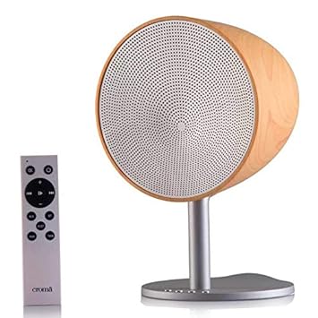 croma speakers 2.1