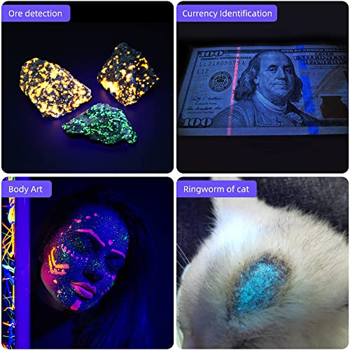 TERRIFI UV Flashlight 365nm - Portable Rechargeable Mini Blacklight LED Ultraviolet Light for Detecting Pet Urine Stains, Fluorescent Material, Money and Amber