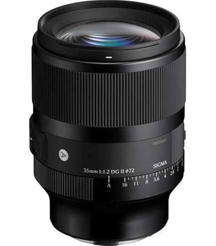 Amazon.com : Sigma 35mm F1.4 DG DN for L Mount : Electronics