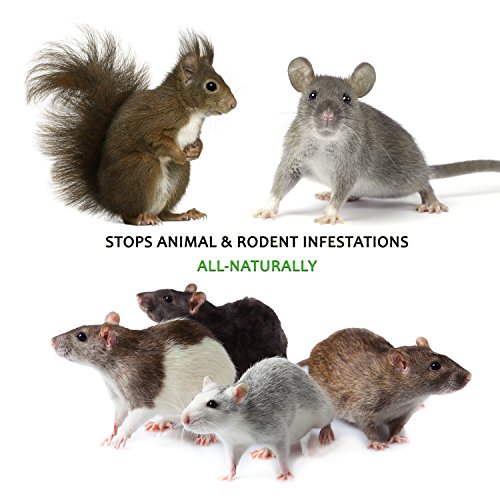 Mice/Mouse, Rat, Squirrel & Rodent Wire, Engine & Vehicle Protection