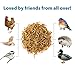 Backyard Pals Mealworms Bulk Dried Mealworms with Scoop, 5 lbs