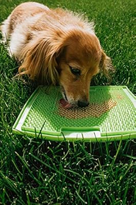 hyper pet lickimat dog feeding plate