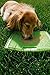 Hyper Pet Slow Feeder Mat for Dogs (perfect for dog food, dog treats, yogurt, or peanut butter) [Fun Alternative to a Slow Feed Dog Bowl]