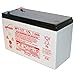 EnerSys NP7-12T 12V 7Ah F2 Sealed Lead Acid Battery