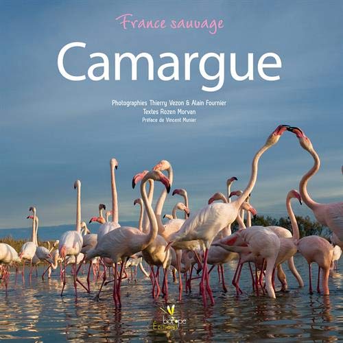 CAMARGUE (LIVRES REGIONAUX GRAND PUBLIC) by MORVAN/VEZON/FO