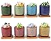 Lawei 8 Pack 2.5 Inch Mini Succulent Plant Pot with Drainage and Bamboo Tray, Small Ceramic Cactus Plant Pot, Flower Pots Faux Plants Containers for Home Garden Office Decoration(Plants NOT Included)