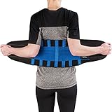Medi-Gear Back Brace - Lumbar Support Belt for Lower Back Pain - Posture Corrector and Stabilizer with Dual Adjustable Straps (Medium)
