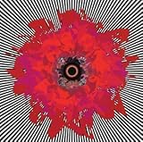 FIVE SUNS                                          image