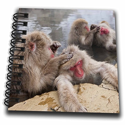 3D Rose Japanese Macaque Mini Notepad