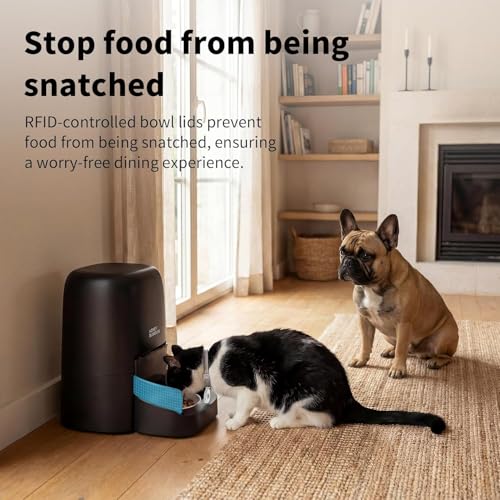 Automatic Cat Food Dispenser RFID, 5G WiFi Automatic Cat Food Dispenser, Personalized Meals with Collar and Cat Recognition, 1-10 Meals, Ceramic Bowl, 4.6L