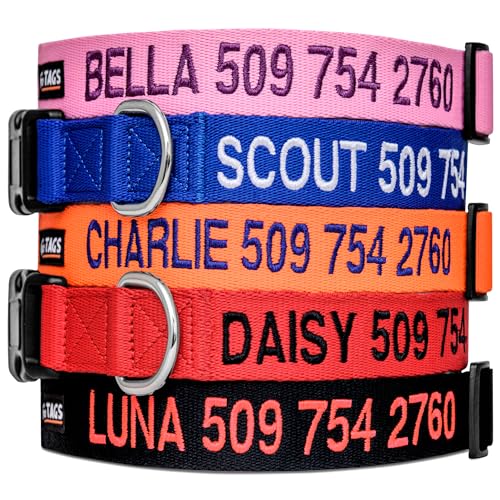 GoTags Personalized Nylon Dog Collar