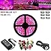 LED Plant Grow Strip Light with Power Adapter,Full Spectrum SMD 5050 Red Blue 4:1 Rope Light for Aquarium Greenhouse Hydroponic Pant Garden Flowers Veg Grow Light (5M)
