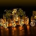 Solar Powered Owl Shape String Lights