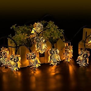 outdoor owl string lights