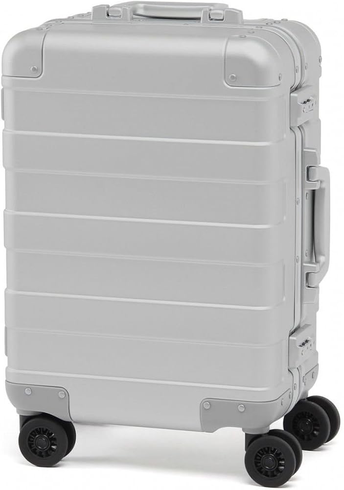 muji hand luggage