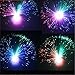 Katoot@ Beautiful Romantic Multicolor Changing LED Fiber Optic Nightlight Lamp Holiday Wedding Decor Small Night Light S3