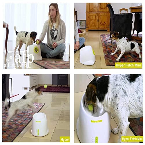 AFP Automatic Dog Ball Launcher Automatic Ball Launcher for Dogs