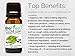 BioFinest Clove Leaf Oil - 100% Pure Clove Essential Oil - Premium Organic - Therapeutic Grade - Best For Tooth Aches - Anti-Bacteria - Natural Skin Care - FREE Essential Oil Guide (10ml)