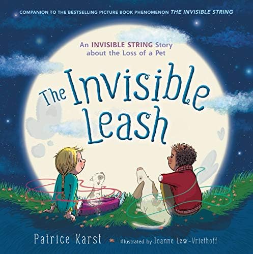 The Invisible Leash: A Story Celebrating Love After the Loss of a Pet: 3 (The Invisible String)