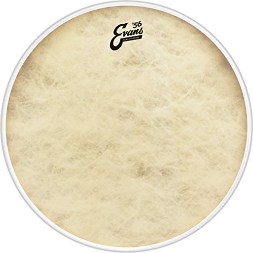 Evans Calftone Bass Drum Head, 22"