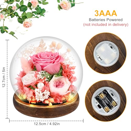 Comius Sharp Preserved Natural Eternal Rose, Eternal Rose with LED Lights, Bouquet Flowers in Glass Dome, Christmas Gifts Women Mom, Valentine's Day Mother's Day Gift (B)