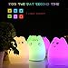 Lafedy LED Night Light Multicolor Silicone Soft Baby Light Lamp Portable Silicone Cute Mushroom Night Lamp Rechargeable GIFT Night Lamp for Children(celebrity cat)