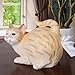 WHAT ON EARTH Cat Butt Tissue Holder - Orange Tabby Cat Square Tissue Box Cover- Cute Bathroom Accessories - Resin Tissue Dispenser