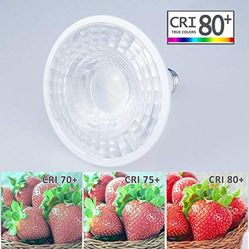 Par38 LED, Tanbridge High Power Lamp Beads, Indor and Outdoor Par38 LED Flood Light, 18W (180W Equivalent), E26 Base, 5000K Daylight, 60° Beam Degrees, Energy Star (4 Pack)