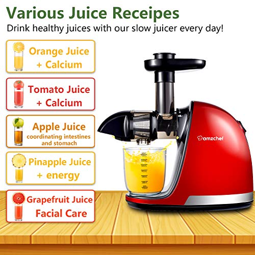 Slow Juicer Extractor, AMZCHEF Slow Masticating Juicer Machines