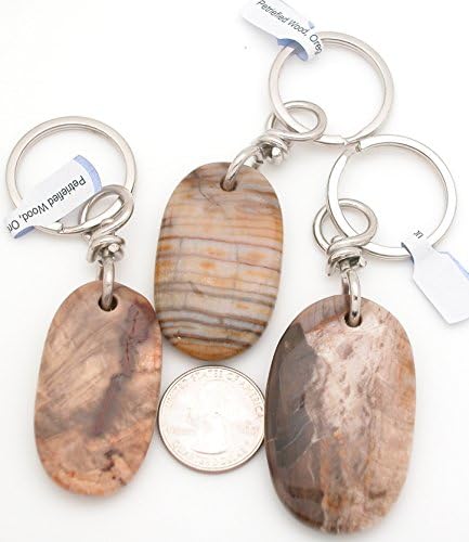 Genuine Oregon Petrified Wood Tumbled Gemstone Keychain Ring, Large Tumbled Stone, One (1) item.