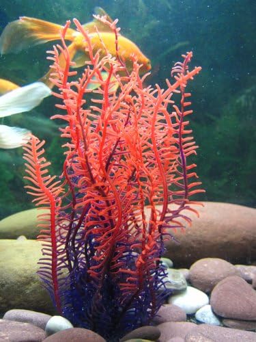 Fish Aquariums Silicone Artificial Coral Plants Ornament Fish Tank Aquarium Sea Anemone Decors Pet Supplies