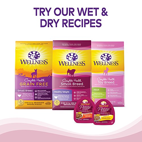 wellness petite treats