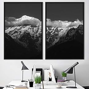 signwin 2 Piece Framed Canvas Wall Art Black...