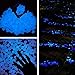 Luditek Glow in The Dark Stones, 200pcs Blue Garden Pebbles Rocks for Outdoor, Walkway, Garden Path, Yard Grass, and Fish Tank Decoration