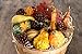 Factory Direct Craft Artificial Autumn Gourds, Pumpkins and Natural Pine Cones - Fall Decorating Kit