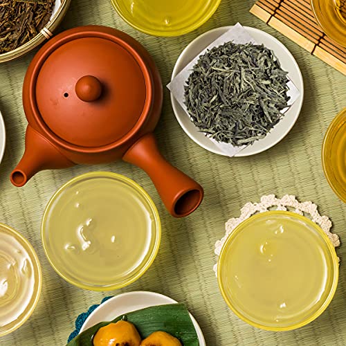 Yan Hou Tang Organic Sencha Green Tea Japanese Loose Leaf 150g Premium Tea King Natural Caffeine Level Medium Classic Leaves with Gifts Box for Tea Lovers