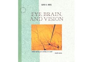 Eye, Brain, and Vision (Scientific American Library)