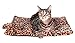 Downtown Pet Supply Thermal Cat Bed - Insulated Cat Mat with Aluminum Film & Sherpa Backing - Washer Safe Faux Fur Cover - Self-Warming Nap - Regular - Animal Print Beige - 22 x 19in