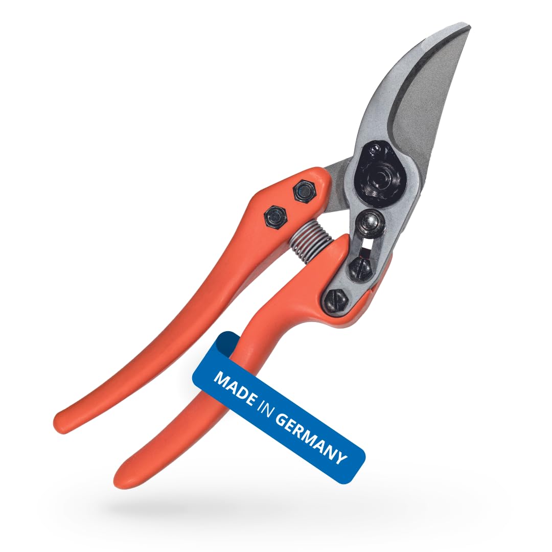 Original LÖWE 11 professional garden shears