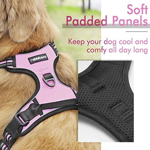 rabbitgoo dog harness sizing