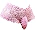 aishani Men's Lace Pouch Panties Silky Bikini Briefs Underwear,L Pink