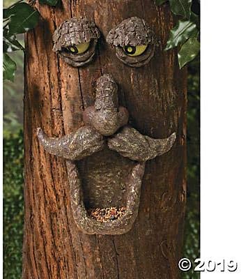 Amazon Com Fun Express Tree Face Bird Feeder Wild Bird Feeders