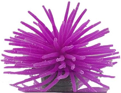 Pidaz 3 Pack of Anemone (White, Yellow, Lavendar)