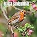 British Garden Birds 2018 12 Inch x 12 Inch Square Wall Calendar, Birding Bird-Watching by