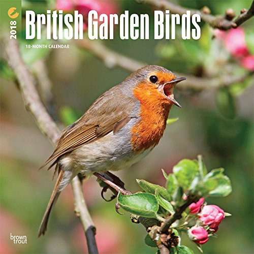 British Garden Birds 2018 12 Inch x 12 Inch Square Wall Calendar, Birding Bird-Watching by 
