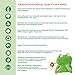 FROSCH Natural Liquid Dish Soap, Vegan Hand Dishwashing Detergent, Green Lemon, 750ml (Pack of 2)