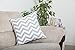 TreeWool (Pack of 2 Decorative Throw Pillow Covers Chevron Accent in 100% Cotton Canvas for Sofa, Couch, Bedroom, Home Decor (18 x 18 Inches, Silver Gray)