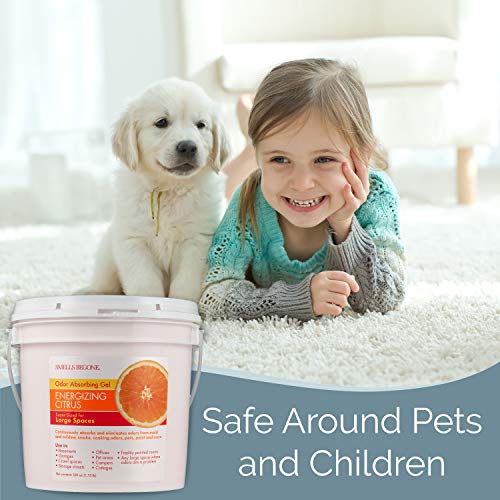 4 Smells+Begone+Odor+Absorber+Solid