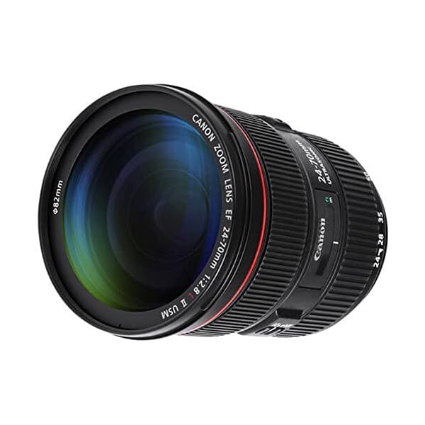 Canon EF 24-70mm F2.8L II USM Standard-Zoom Objektiv (82mm Filtergewinde) schwarz – Bild 5