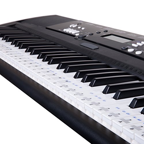 New - Keysies All Notes. Complete Note Range Piano Stickers For All Sizes of Keyboard